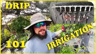 This Will Make Plants Grow Like Weeds! | Drip Irrigation