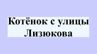 Котёнок с улицы Лизюкова