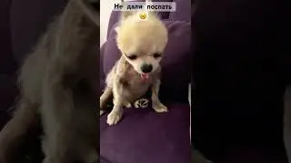 Как-то так 🤷🏻‍♀️😴