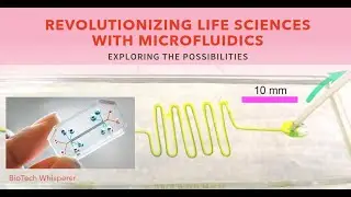 Microfluidics Applications in Life Sciences Explained in 5 Minutes