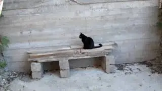 20181112
