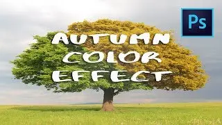 How to create an AUTUMN COLOR EFFECT | Photoshop Tutorial