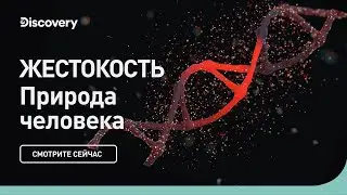 Жестокость | Природа человека | Discovery