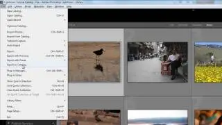 Learning The Export as Catalog Function in Lightroom 3