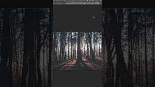 Create Realistic Sun Rays in Photoshop | Short Photoshop Tutorial 