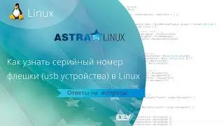 Как узнать серийный номер флешки (usb накопителя)  в Linux