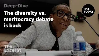 The diversity vs. meritocracy debate is back in the spotlight | The Excerpt