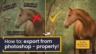 How To Export from Photoshop like a Pro | Avoid banding, colour shifts and blurry photos forever!