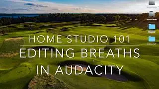 Editing breaths out of your voiceover audition in Audacity
