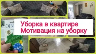 🧤Мотивация на уборку/👍Уборка с детьми/🥒Посеела огурцы дома/