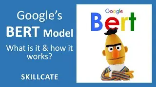 BERT Model | Transfer Learning | Deep Learning - Neural Networks | Machine Learning | NLP | Part 2/3