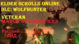 The Elder Scrolls Online #145 - Новые Данжи WolfHunter: Veteran March of Sacrifices