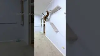 What led to her fall 😱 