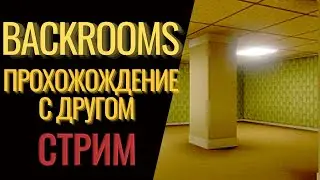 ЗАКУЛИСЬЕ | СТРИМ