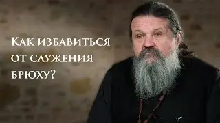 КАК ИЗБАВИТЬСЯ ОТ СЛУЖЕНИЯ БРЮХУ? о. Андрей Лемешонок