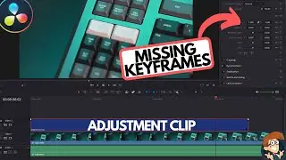 Power Bin Adjustment Clips Missing Keyframes Bug Workaround Davinci Resolve 16