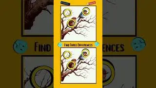 Only Genius Find three differences #spotthedifference #mindmastery #findthedifference #braingames