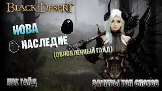 Нова Наследие | БДО | ПвЕ Гайд | Succession Nova | BDO | PvE Guide
