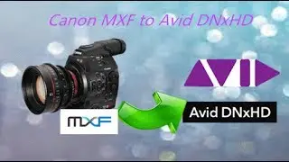 Workflow of Sony/Canon/Panasonic MXF files in Avid