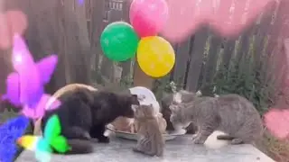 Ребята перед сном увидели в Небе радугу и услышали Голос 👼🌈❤️🙏😻 