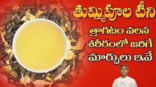 తుమ్మి పూల టీ ని తాగితే కలిగే లాభాలు ఇవే | Immunity Booster | Fever | Dr. Manthena's Health Tips