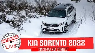 Тест системы Kia Connect в новом Sorento 2022