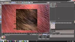 Create Realistic Animal Fur In Cinema 4D (C4D Tutorial)