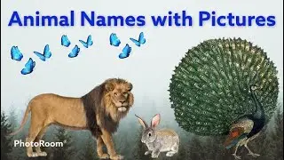 Animal names with Pictures in English | Learn Animals Name | Animal Names