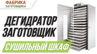 Как выбрать дегидратор? | Обзор сушилки для овощей и фруктов «Заготовщик»