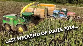 4Kᵁᴴᴰ Harvest 2024: Chopping maize with a John Deere 9800i on Tinker Brook near Stratford St. Andrew