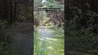 Креосан запорожец у меня