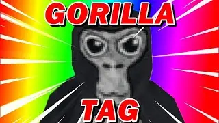 Gorilla Tag Mod Menu Showcase Gorillataggingkid v5.5