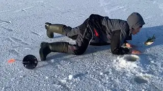 Щука выпрыгивает из лунок. Озеро Зайково. Погода 😬, мороз и ветер. Рыбалка зимой на жерлицы.