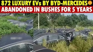 Cars Grow in Grass! 872 Luxury EVs by BYD-Mercedes Abandoned in Bushes for 5 Years