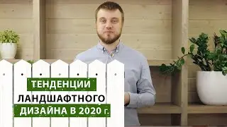 Тенденции ландшафтного дизайна 2020