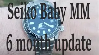 6 Month of ownership Seiko SBDC061 Baby MM