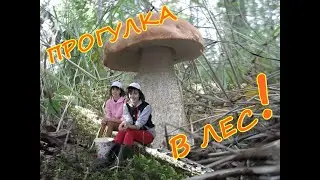 Осенняя прогулка в лес :)