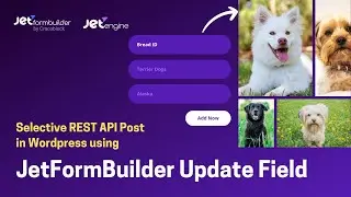 JetFormBuilder Update Field | Selective Post from Wordpress REST API