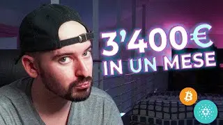 È passato un MESE... STONKS! - 10'000€ in CRYPTO