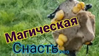 Соска на карпа, взлёт и... В поисках трофейного карпа.