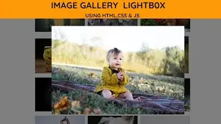 How To  Create Image Gallery Using HTML , CSS & Javascript | Lightbox Gallery tutorial