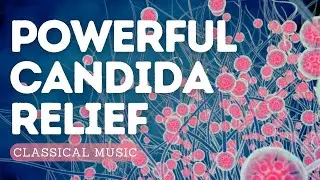 𝄞 Candida Relief and Healing! ~ Isochronic Tone 427 Hz | Powerful Rife frequencies ~ Classical Music