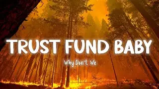 Trust Fund Baby - Why Don't We [Lyrics/Vietsub]