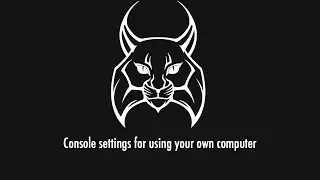 Console settings for using your own computer