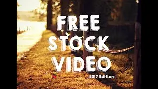 FREE STOCK VIDEO - NATURE FOREST LENS FLARE!!!! #1 HD!!!!!