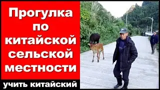 Прогулка по китайской сельской местности - практика аудирования китайского языка