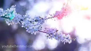 3 Hours of Relaxing Sleep Music Soft Piano Music, Sleeping Music, Meditation Music, Fall Asleep