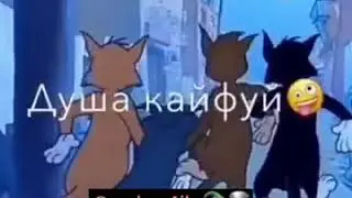 Атмосфера души кто смотрел том и Джерри 👇