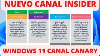 Microsoft presenta el nuevo WINDOWS 11 CANAL CANARY de Windows Insider
