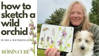 How To Sketch A Wild Orchid In Ink And Watercolour